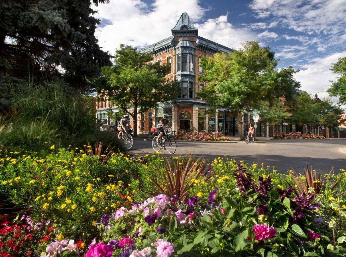 Lola House! Cozy Comfort, Prime Old Town Location Fort Collins Exteriör bild